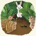 Hippolyte cause dans le potager 3000x3000 fd jaune.webp